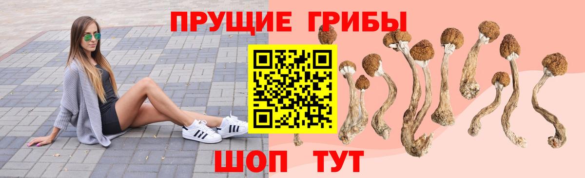Псилоцибиновые грибы Magic Shrooms  Вход с VPN  Белебей 